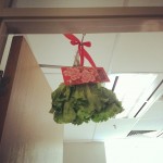 Lettuce_and__angpow_for_the_lion_that_will_be_visiting_the_office_later.__chinesenewyear__liondance_by_oyajalil