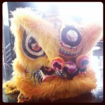 Our_main_star_for_today__liondance_by_bellataec